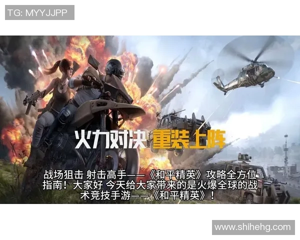 和平精英赛场灵活性排名新高BLG团队展现卓越实力与创新策略实时数据